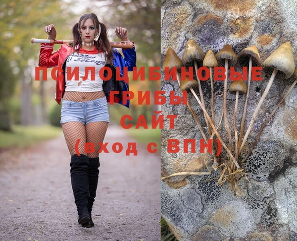 марихуана Абинск
